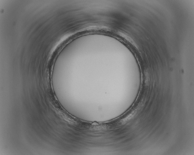 X0000076251021200610191643