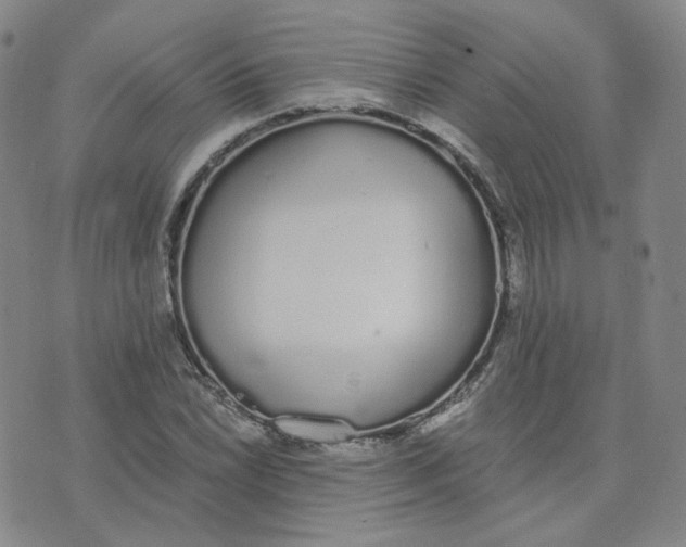 X0000076251022200610191643