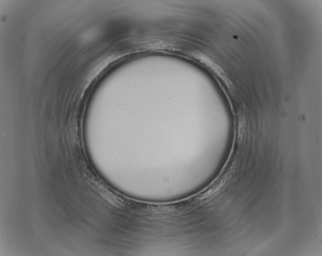 X0000076251023200610191643