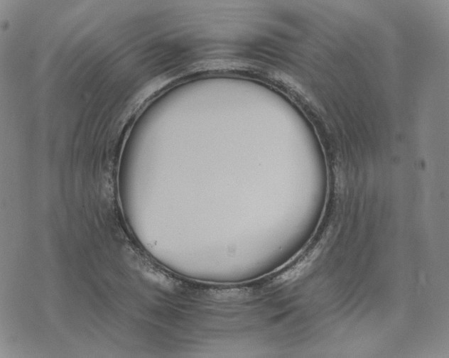 X0000076251025200610191643