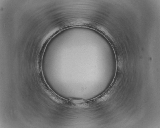 X0000076251026200610191643