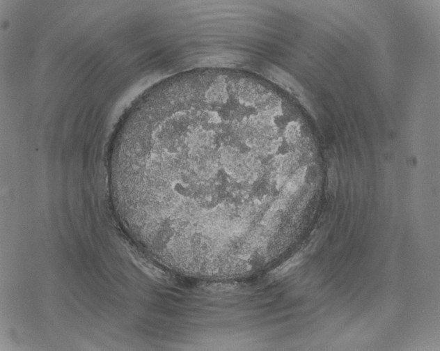 X0000076251027200610191643