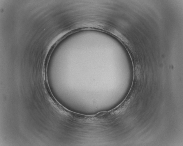 X0000076251028200610191643