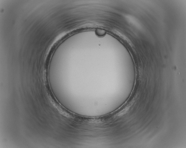 X0000076251029200610191643