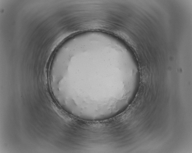 X0000076251031200610191643