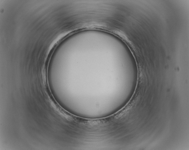 X0000076251032200610191644