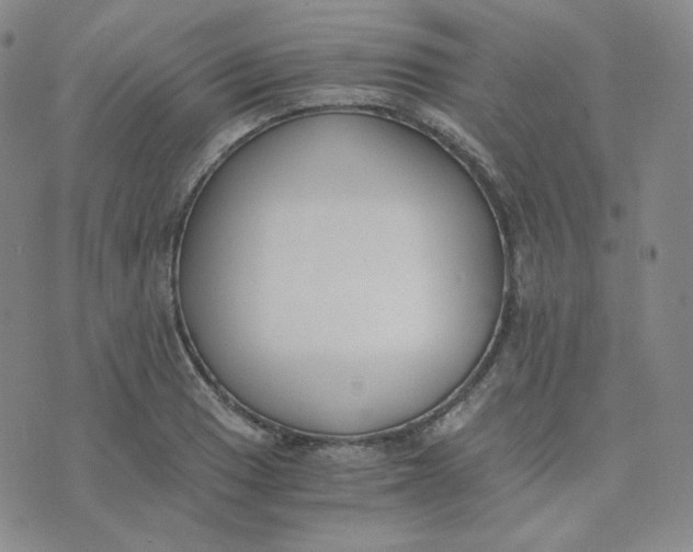 X0000076251033200610191644