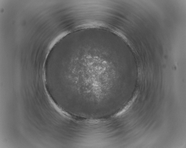 X0000076251034200610191644