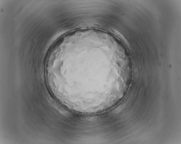 X0000076251035200610191644