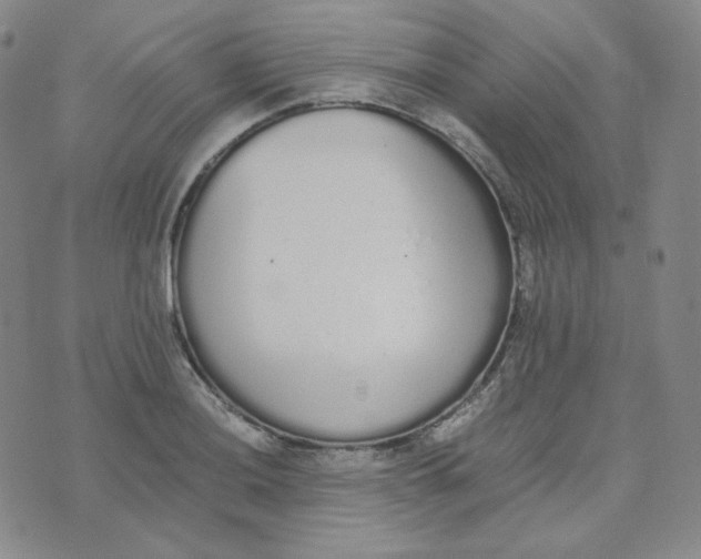 X0000076251036200610191644