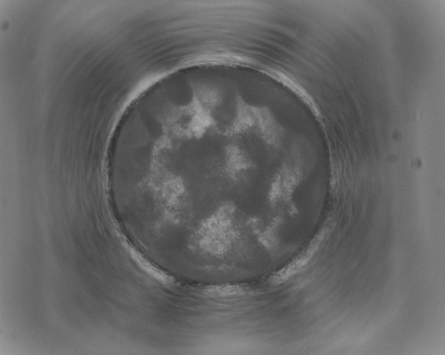 X0000076251037200610191644