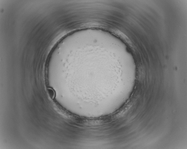 X0000076251039200610191644