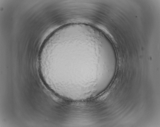 X0000076251040200610191644