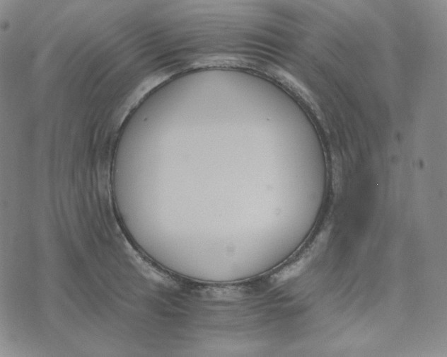 X0000076251041200610191644