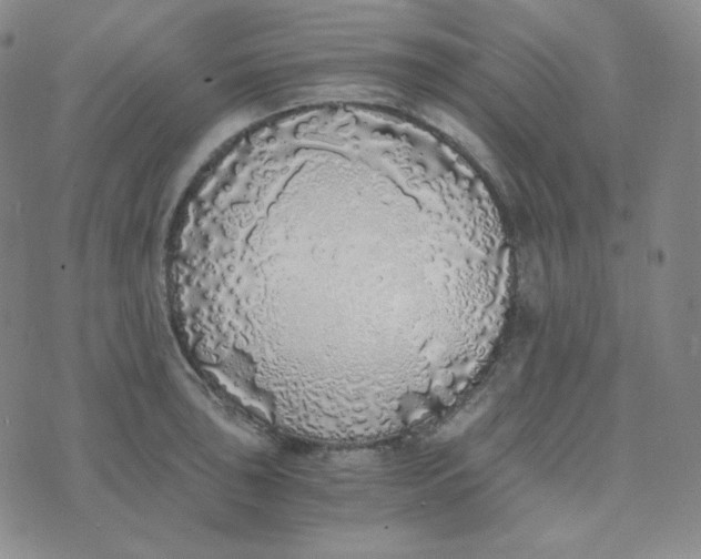 X0000076251043200610191644