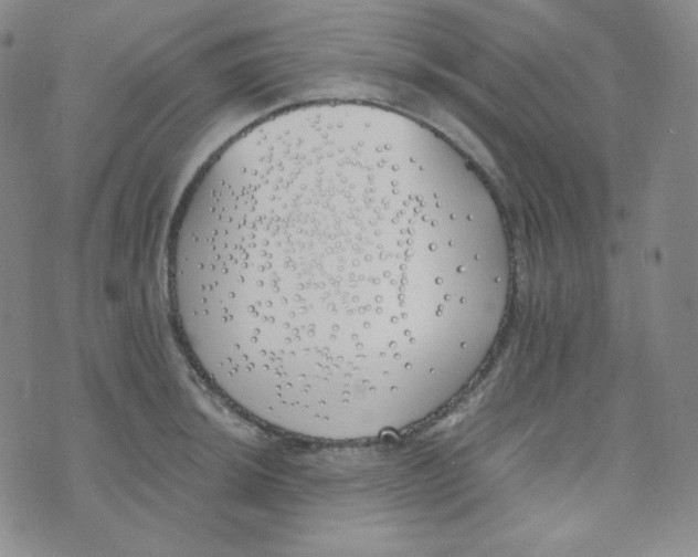 X0000076251044200610191644