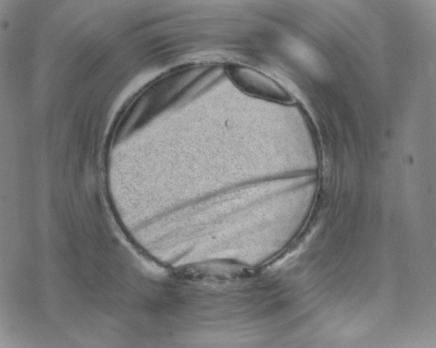 X0000076251045200610191644