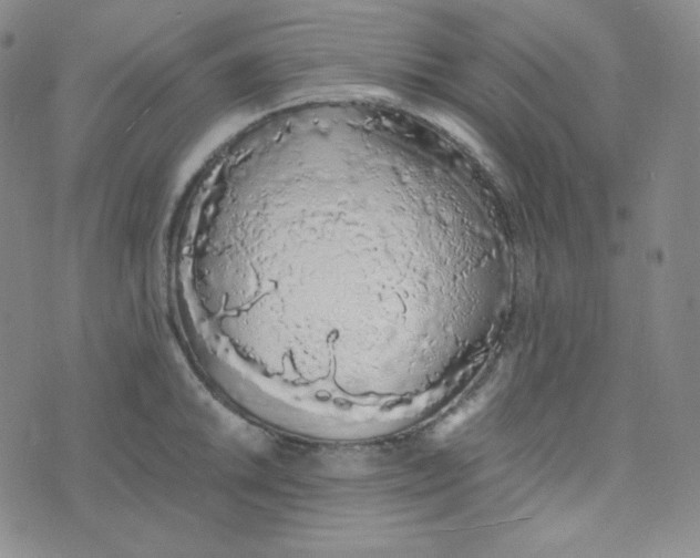 X0000076251046200610191644