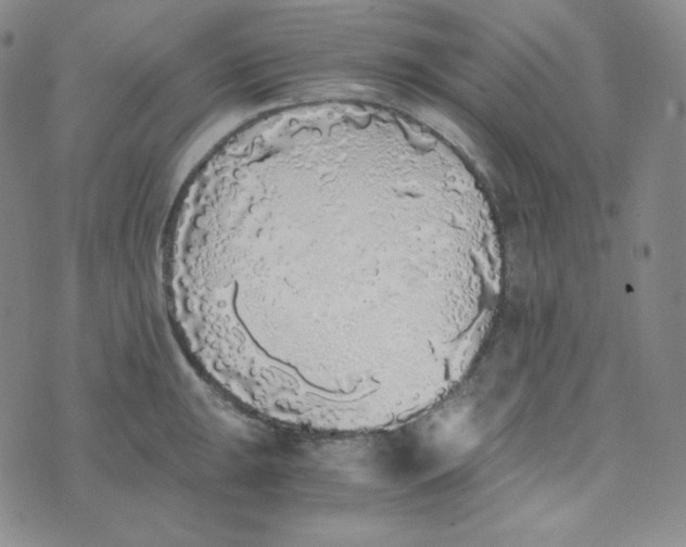 X0000076251047200610191644