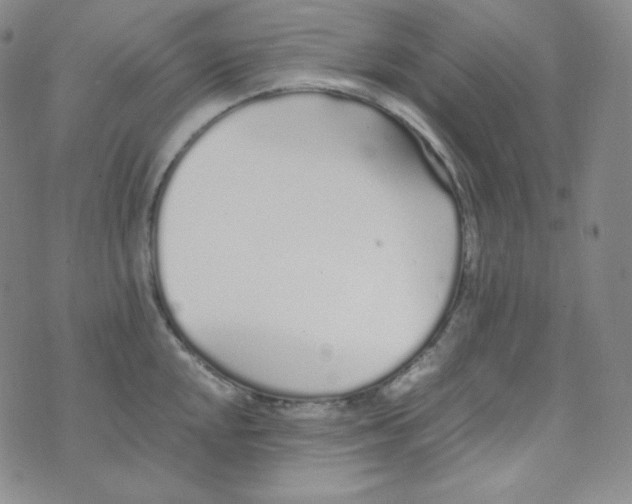 X0000076251048200610191644