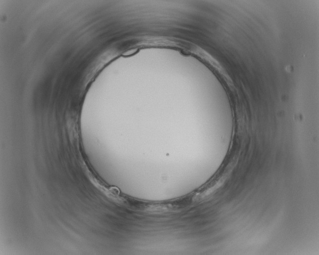 X0000076251049200610191644