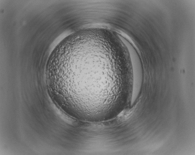 X0000076251050200610191644