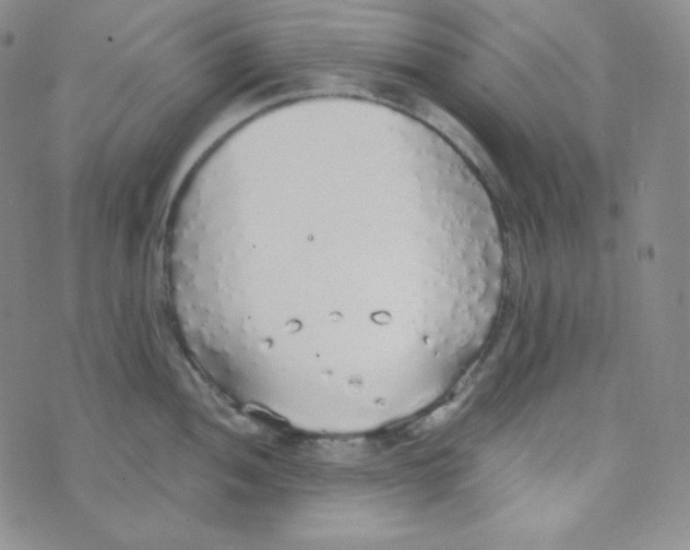 X0000076251052200610191644