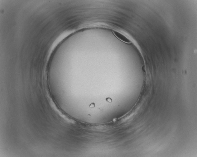 X0000076251053200610191644