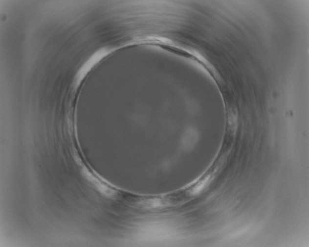 X0000076251054200610191644