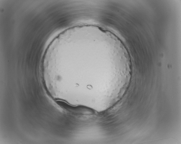 X0000076251056200610191644