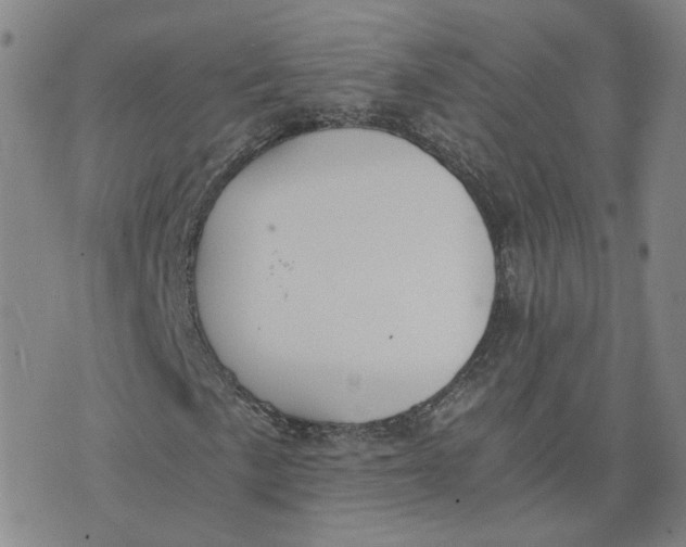 X0000076251057200610191643