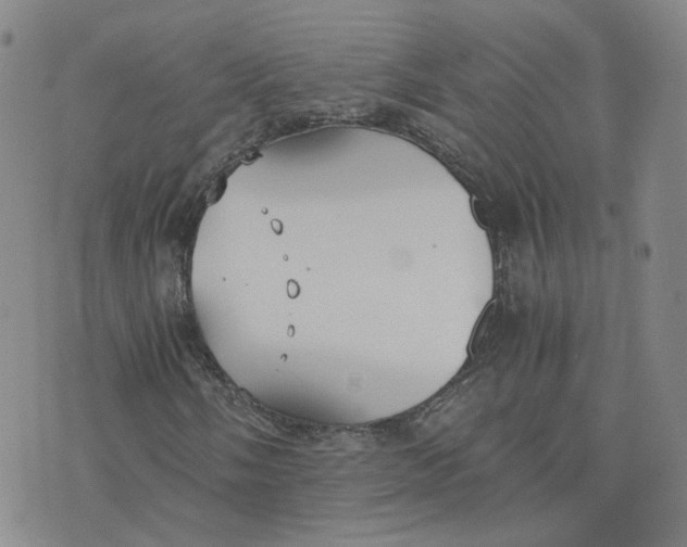 X0000076251058200610191643