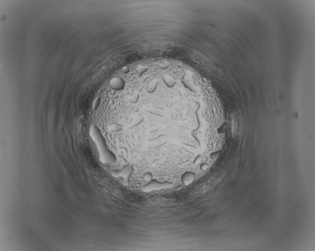 X0000076251059200610191643