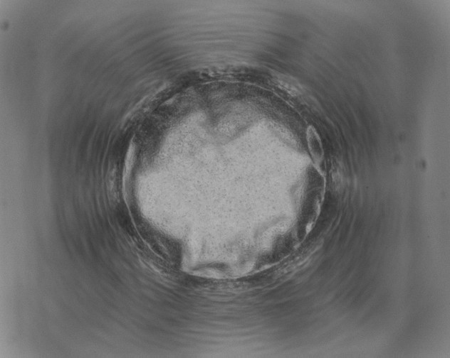 X0000076251060200610191643