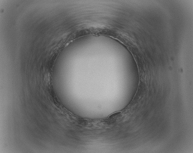 X0000076251061200610191643