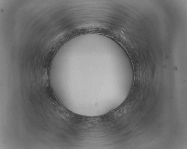 X0000076251062200610191643