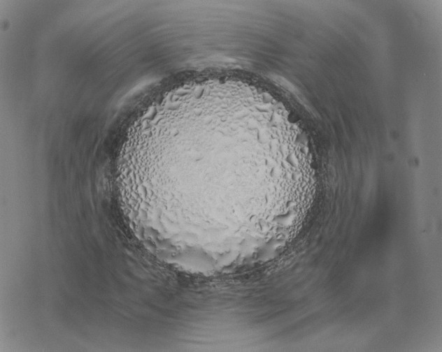 X0000076251063200610191643