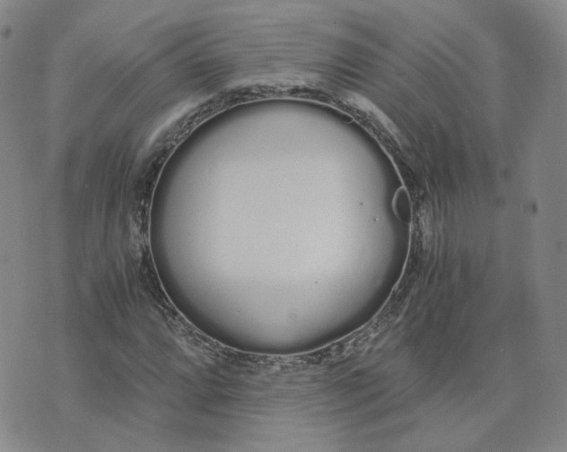 X0000076251064200610191643