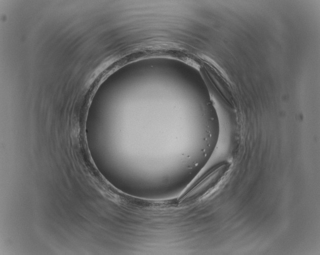 X0000076251065200610191643