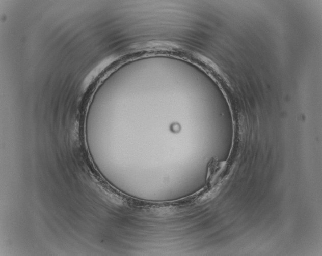 X0000076251066200610191643