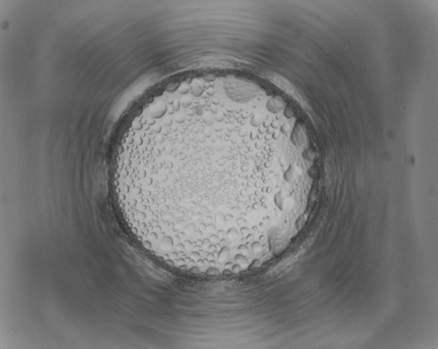 X0000076251067200610191643