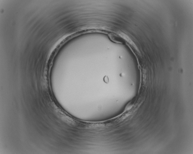 X0000076251068200610191643