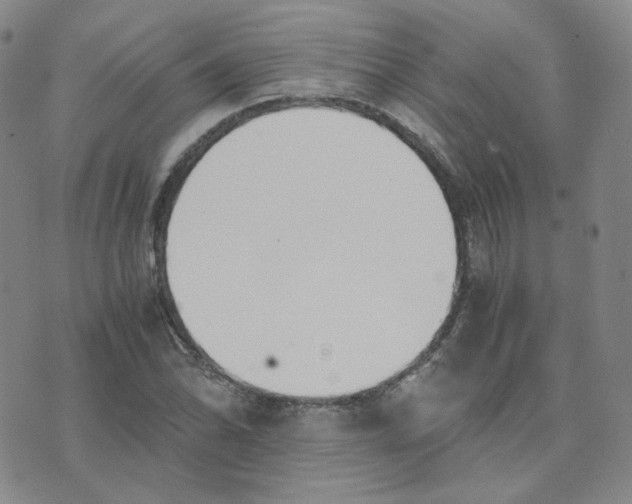 X0000076251070200610191643