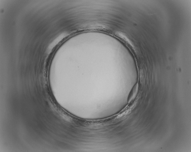 X0000076251071200610191643