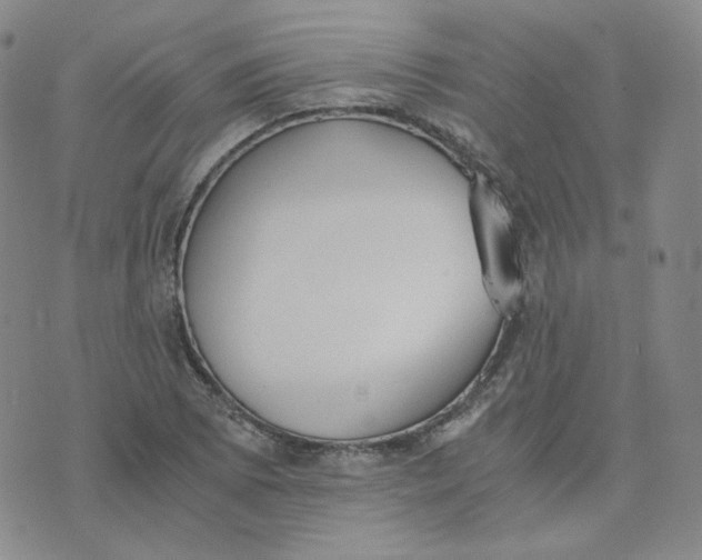 X0000076251073200610191643