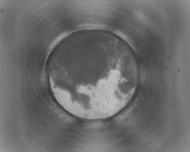 X0000076251074200610191643