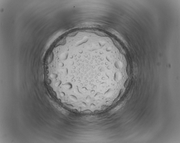 X0000076251075200610191643