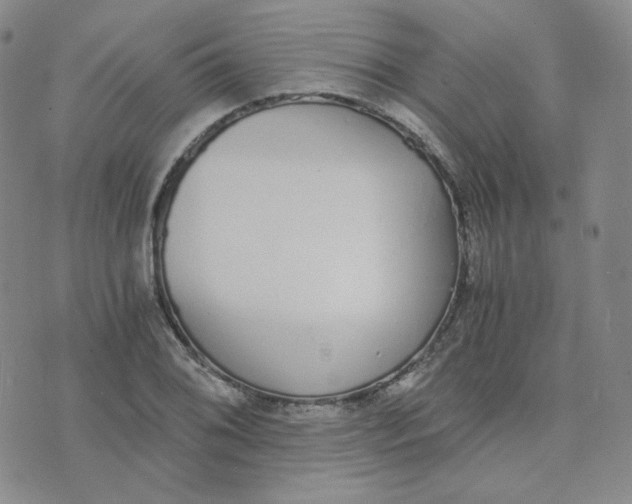 X0000076251076200610191643