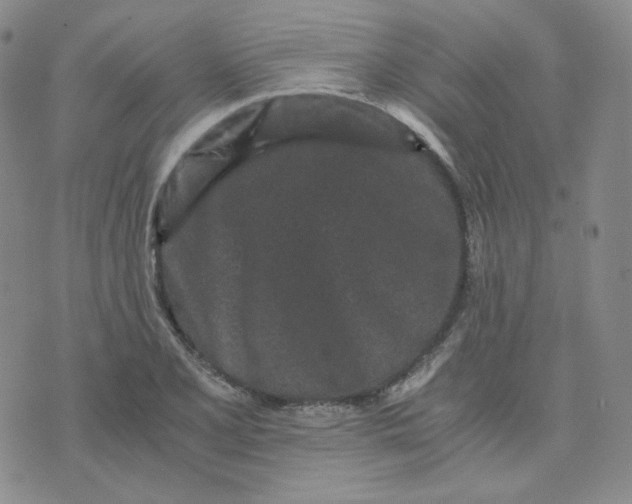 X0000076251077200610191643