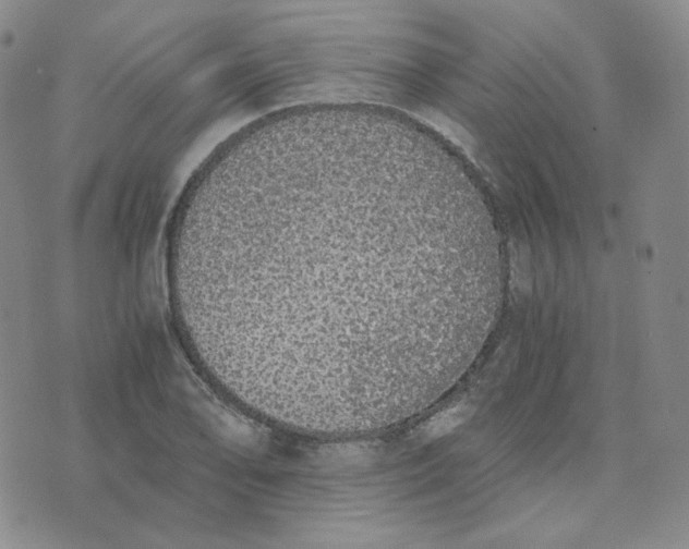 X0000076251078200610191643